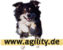 www.agility.de