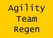 raindogs Agility Team Regen